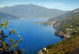 Lago Maggiore - Luino - Veduta Panoramica - 172 - Formato Grande Non Viaggiata – E 4 - Luino