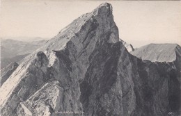 Tomlishorn 2133 M (821) - Other & Unclassified