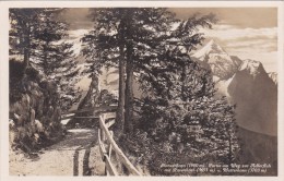 Stanserhorn - Partie Am Weg Zur Adlerfluh Mit Rosenhorn Und Wetterhorn - Stans