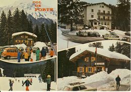 Col De Porte En Chartreuse  La Tronche Alt. 1350 M  Hôtel Rogier  Multivues  Cpsm Format 10-15 - La Tronche