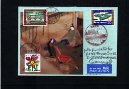 Japan 2005 Interesting Letter - Cartas & Documentos