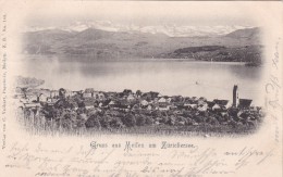 Gruss Aus Meilen Am Zürichsee (144) * 29. 8. 1903 - Meilen