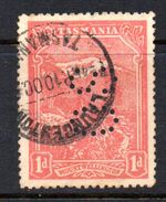 R213 - TASMANIA , Servizio 1 Penny Usato Punctured OS  . Non Catalogato - Used Stamps