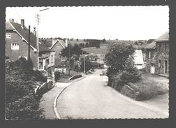 Bullingen-Bullange - Carte Photo - Vue De Village - Büllingen