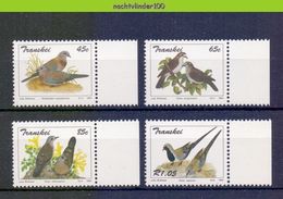 Ncf100 FAUNA VOGELS DUIF PIGEON DOVE BIRDS VÖGEL AVES OISEAUX TRANSKEI 1993 PF/MNH - Collections, Lots & Series