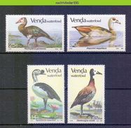 Ncf107 FAUNA VOGELS GANS GANZEN GOOSE GEESE BIRDS VÖGEL AVES OISEAUX VENDA 1987 PF/MNH - Oies