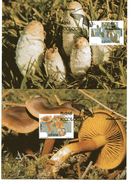 C SPAGNA  1995 MAXIMUM FUNGHI FUNGUS CHAMPIGNONS PILZ SETAS COPRINUS CORTINARIUS - Funghi