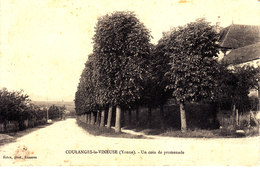 89. Yonne :  Coulanges La Vineuse . Un Coin De Promenade . - Coulanges La Vineuse