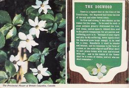 Canada, British Columbia, The Dogwood, Used 1977 - Prince George