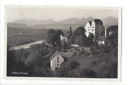 18995 - Schloss Wildegg - Wildegg