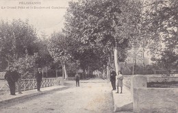 13 / PELISSANNE / LE GRAND PONT ET LE BOULEVARD GAMBETTA - Pelissanne