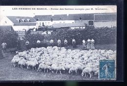 LES FEMMES DE MARCK MOUTONS        XXXXXXXXXXXXXXXXXXXXXX - Audruicq