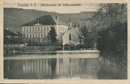 Freystadt - Mädchenschule Mit Liebfrauenkirche 1918 (002988) - Freistadt