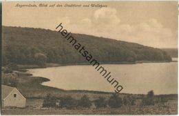 Angermünde - Stadtforst - Wolletzsee - Verlag C. Windolff Angermünde - Angermuende