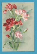 CPA S. 3977 - Fleurs Oeillets Illustrateur Catharina KLEIN - Klein, Catharina