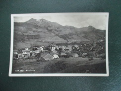 CPA PHOTO SUISSE NEIRIVUE - Neirivue