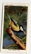 Player - 1932 - Wild Birds - 40 - Mésange Noire, Zwarte Mees, Coal Tit, Great Tit - Player's