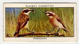 Player - 1932 - Wild Birds - 46 - Traquet Tarier, Bruinkeeltapuit, Whinchat - Player's