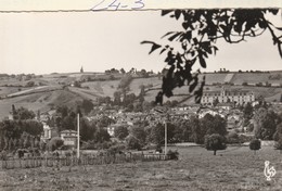 Isère : LA COTE-SAINT-ANDRE   ( Vue Générale  ) - La Côte-Saint-André