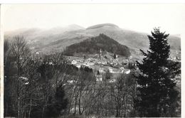 88-878 - VOSGES - LE THILLOT - Le Thillot Dans Son Nid - Le Thillot