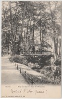 Germany - Berlin - Weg Zur Rousseau Insel Im Thiergarten - Tiergarten