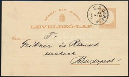 1879 2kr Díjjegyes Levelezőlap 'S.A.UJHELY' - Budapest - Altri & Non Classificati