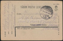 1918 Tábori Posta Levelezőlap 'M.kir. 39/1 Honvéd Tábori ...' + 'TP 425 A' - Altri & Non Classificati