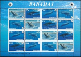 ** 2007 WWF: Bálnák Kisív Mi 1281-1284 - Altri & Non Classificati