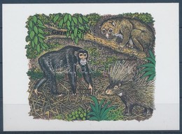 ** 1995 Afrikai állatok, Csimpánz Blokk Mi 480 - Altri & Non Classificati
