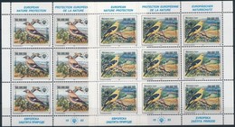 ** 1993 Európai Természetvédelem, Madarak Kisívsor Mi 2620-2621 - Altri & Non Classificati