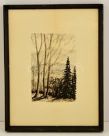 Börtsök Jelzéssel: Erdős Dombok. Akvarell, Papír, üvegezett Keretben, 26×16 Cm - Sonstige & Ohne Zuordnung