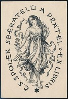 Vladimir Mersner: Erotikus Ex Libris. Klisé, Papír, Jelzett A Hátoldalon, 110x70 Mm - Other & Unclassified