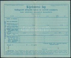 Cca 1890 Rendőrségi Kijelentési Lap, Díjjeggyel, Használatlan - Ohne Zuordnung