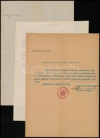 1942 Bp., Származási Igazolvány Az Országos Szociális Felügyelőségnél Dolgozó Személy Számára, Valamint 2 Db Egyéb Okmán - Ohne Zuordnung