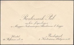 Rozlozsnik Pál (1880.-1940) Geológus, Paleontológus,  Saját Kézzel Megírt Névjegykártyája - Sonstige & Ohne Zuordnung