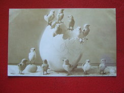 Delcampe - PAQUES - " CARTE GRANOTYPIE " DES POUSSINS.....DES POUSSINS...- " BELLE CARTE " - - Ostern