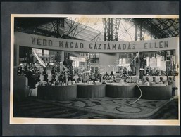 Cca 1944 Budapest, Légoltalmi Szaküzlet Termékei, 8 Db Vintage Fotó, Fekete Kartonra Felragasztva, 17x12 Cm és 18x24 Cm  - Sonstige & Ohne Zuordnung