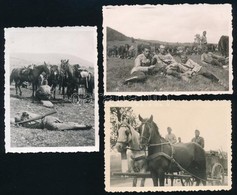 1940 Katonai Gyakorlat A Mátrában, 3 Db Fotó, Az Egyik Hátulján Feliratozva, 6,5×9 Cm - Sonstige & Ohne Zuordnung