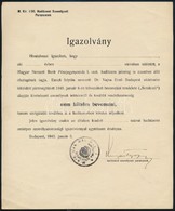 1945 Bp., Kitöltetlen Igazolvány Hadiüzemi Dolgozó Részére, Mely Felment A Bevonulási Kötelezettség Alól - Sonstige & Ohne Zuordnung