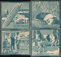'Több Gabona, Több Kenyér' - Mezőgazdasággal Kapcsolatos Propaganda Nyomtatványok, 4 Db, 9x11 Cm - Ohne Zuordnung