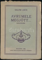 Salom Asch: Avrumele Megjött... Elbeszélések. Bp.,1925, 'Garai' Irodalmi és Nyomdai Rt., 56 P. Kiadói Papírkötés, A Borí - Ohne Zuordnung