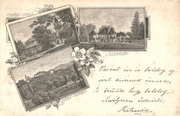 T3 Csákigorbó, Garbou; Haller Kastély, Jósika Kastély Szurdukban / Castle, Castle In Surduc. Floral Art Nouveau (r) - Ohne Zuordnung