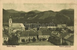 T2/T3 Nagybánya, Baia Mare; Látkép, Református Templom, Vajda Márton üzlete / General View, Church, Shops + 1940 Nagybán - Ohne Zuordnung