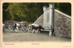 ** T2/T3 Vöröstoronyi-szoros, Roter-Turm-Pass, Pasul Turnu Rosu; Császár Kút, Kerékpár, ökrös Szekér. Georg Meyer Kiadás - Ohne Zuordnung