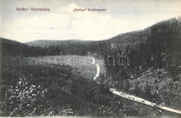 ** T1 Modor-Harmónia, Modra; Dolina Erdő Részlet, Faszállító Szekerek / Forest, Timber Transporting Carriages - Ohne Zuordnung