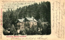 T2 Stoószfürdő, Villa, Wlaszlovits Gusztáv Kiadása / Villa - Ohne Zuordnung