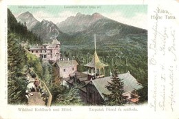 T2/T3 Tátra, Tarpatakfüred és Szálloda. F. Pietschmann No. 509. / Wildbad Kohlbach Und Hotel / Hotel (EK) - Ohne Zuordnung