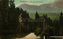 T2/T3 Tátraszéplak, Tatranska Polianka; Dr. Ottó-csúcs és Szekrényes / Mountains  (fl) - Non Classificati