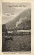 T2/T3 Kőrösmező, Jaszinya, Yasinia; Vöröskereszt-vonat A Kevelei Völgyben / Red Cross Train, Valley (EK) - Ohne Zuordnung