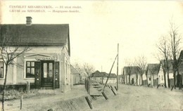 T2/T3 Szeghegy, Sekic, Lovcenac; Fő Utca, Gyógyszertár. W. L. Bp. 626. Kiadja Becker Dávid & Co. / Main Street, Pharmacy - Ohne Zuordnung